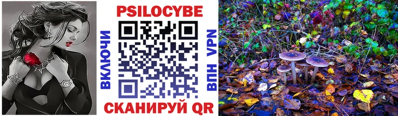 Псилоцибиновые грибы мухоморы mega tor Чишмы