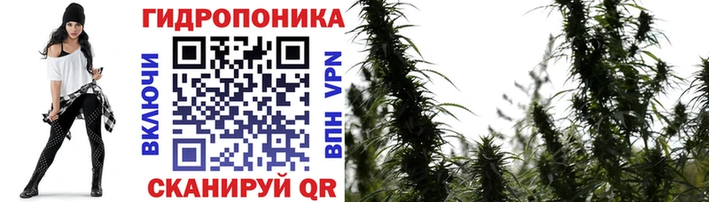 Бошки марихуана ГИДРОПОН магазин Чишмы
